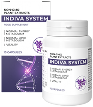 InDiva System
