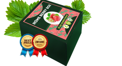 Home Berry Box— Nagy és ízletes eper termés titka!